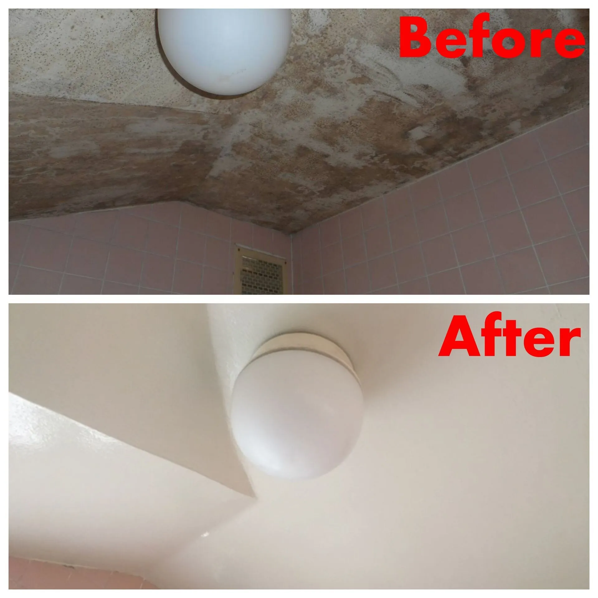 浴室のカビ 埼玉県上尾市にて