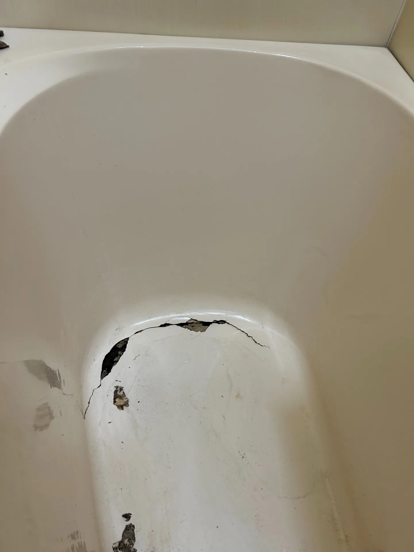 株式会社　B・I・C