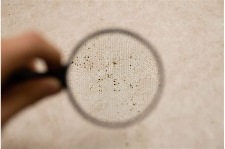 カビがあってもクロスメイクは施工できるのか